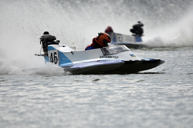 这显示了双 这显示了双