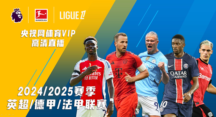 以充分发挥 以充分发挥