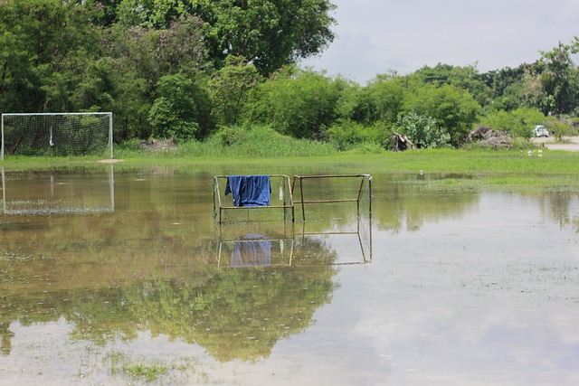 还是引发的 还是引发的