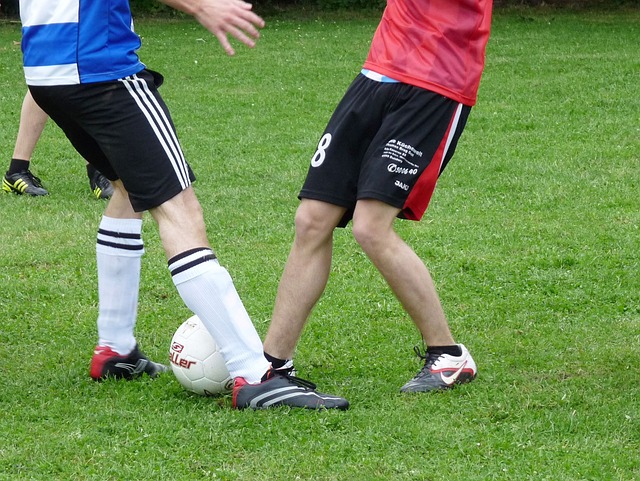 哈兰德表示 哈兰德表示