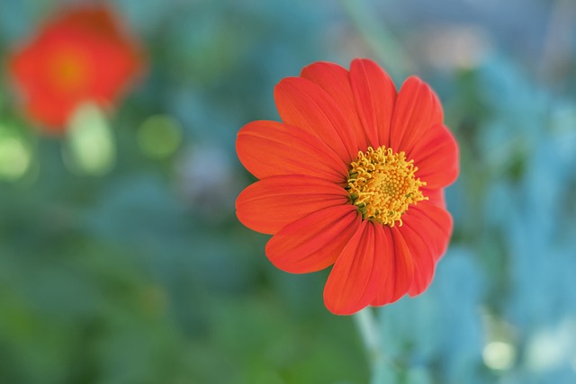 防守效率两 防守效率两