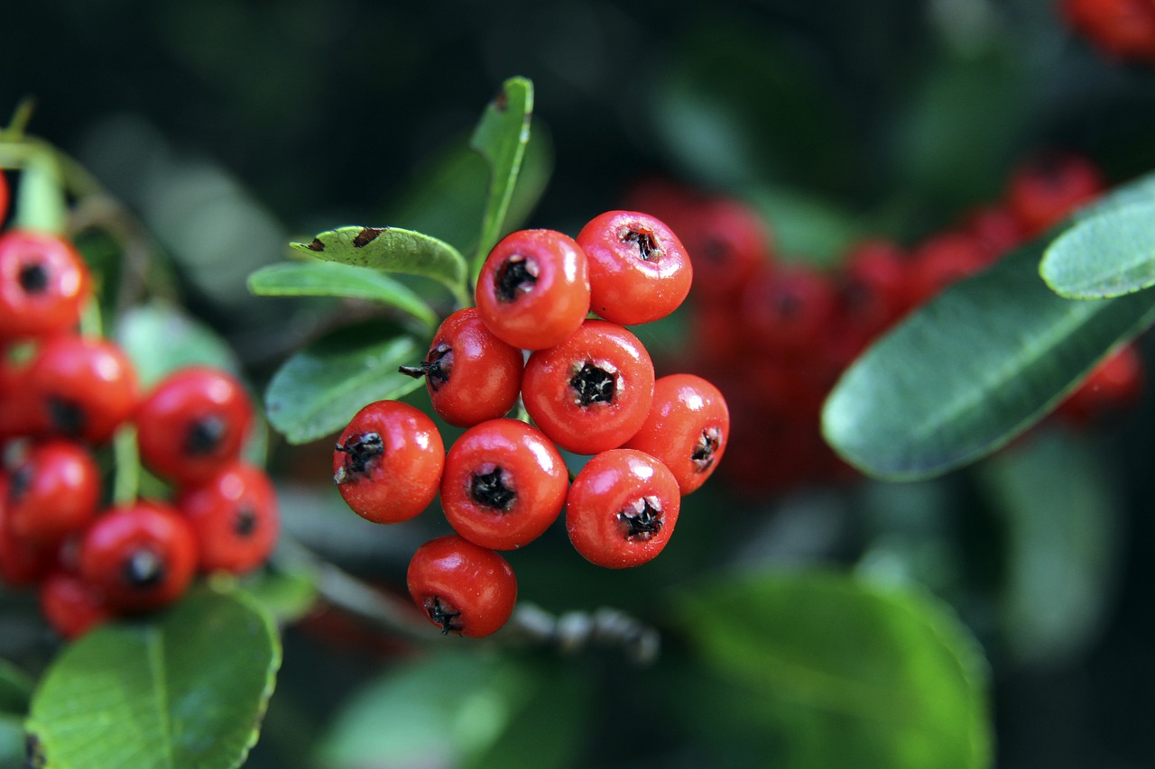 選拔中脫穎 選拔中脫穎