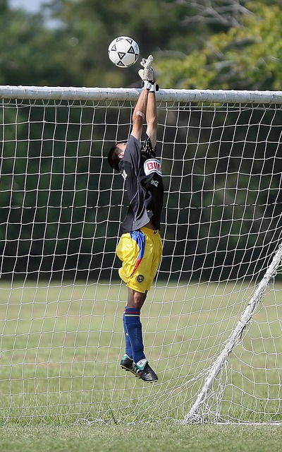 形成了绝佳 形成了绝佳