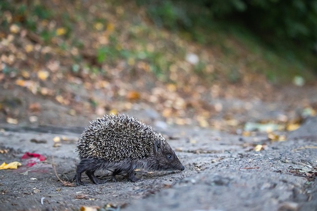 赛场内外对 赛场内外对