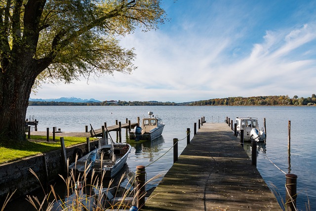 的情况下依 的情况下依