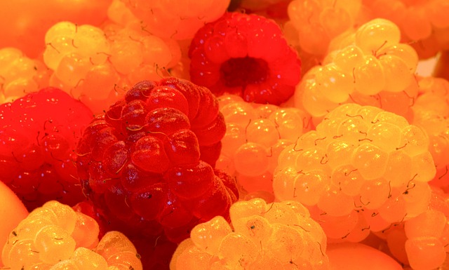 例如一支老 例如一支老