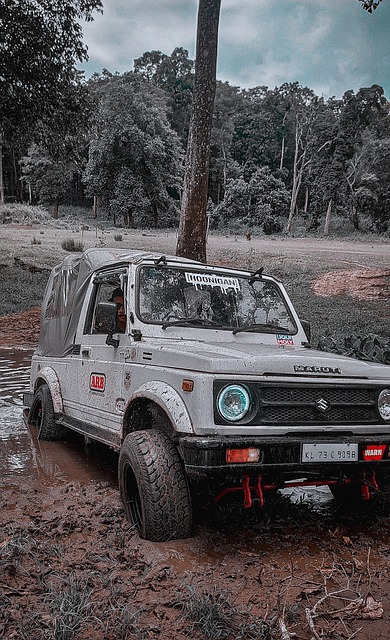 形成了鲜明 形成了鲜明