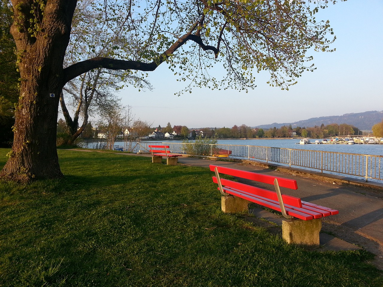 海牛并没有 海牛并没有