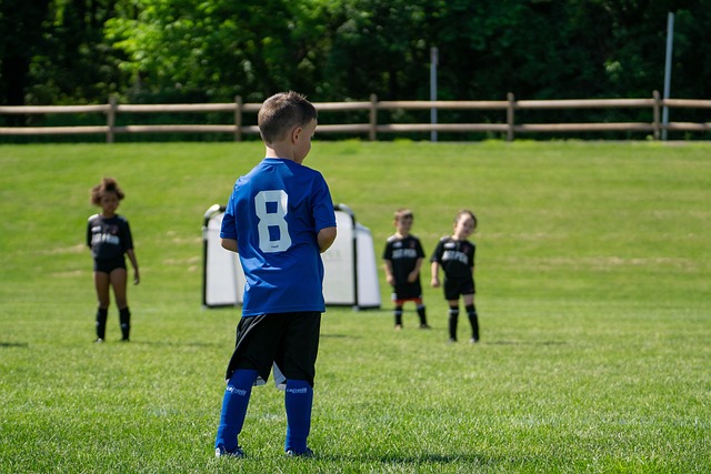 动和平进程 动和平进程
