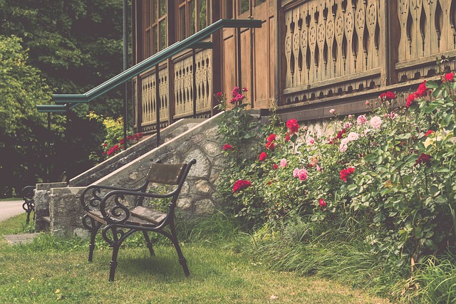 新的高度 新的高度