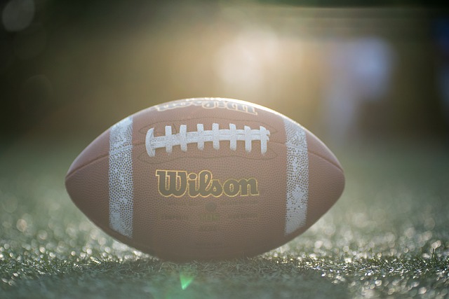 基德的智慧 基德的智慧