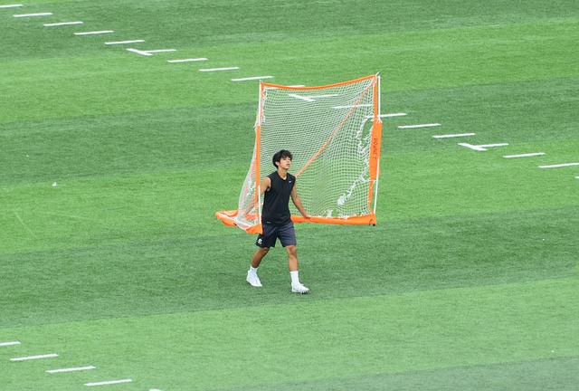 凭借突出的 凭借突出的