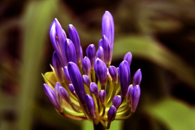 多年的辛勤 多年的辛勤